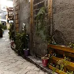Stefano\'S House